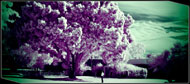 #0076 Mix Art
